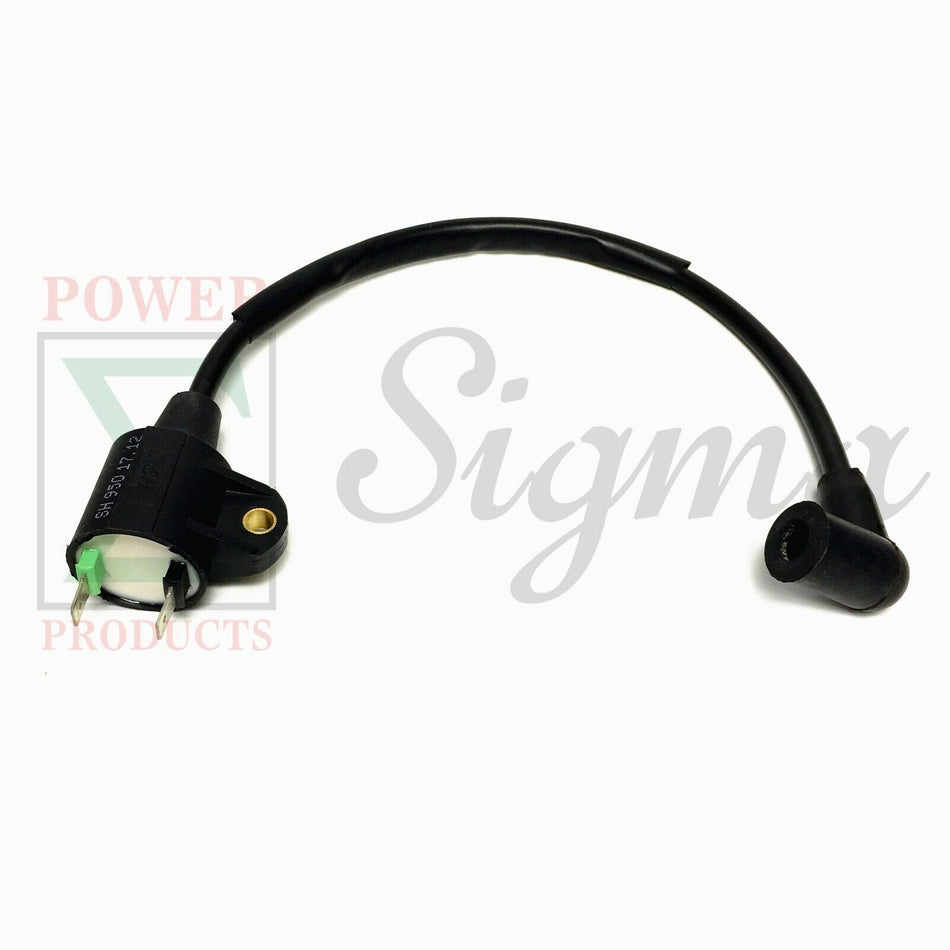 Ignition Coil For Harbor Freight Storm Cat 60338 69381 For Tail Gator 63CC 900W 63025 63024 For Pulsar PG1202S For ET950 ET650 For PowerPro Technology 1000 Watts Generator image 1