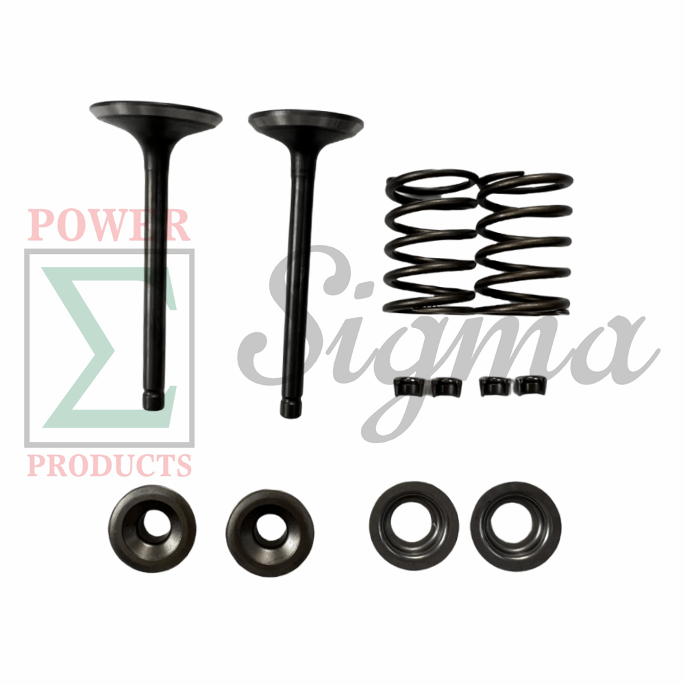 Intake Exhaust Valve and Spring and Retainer Kit for PREDATOR Inverter Generators 9500-Watt Surge / 7600-Watt Running (SKU# 71365, 59188) for DuroMax XP9000iH XP9500iH Inverter Generator image 0