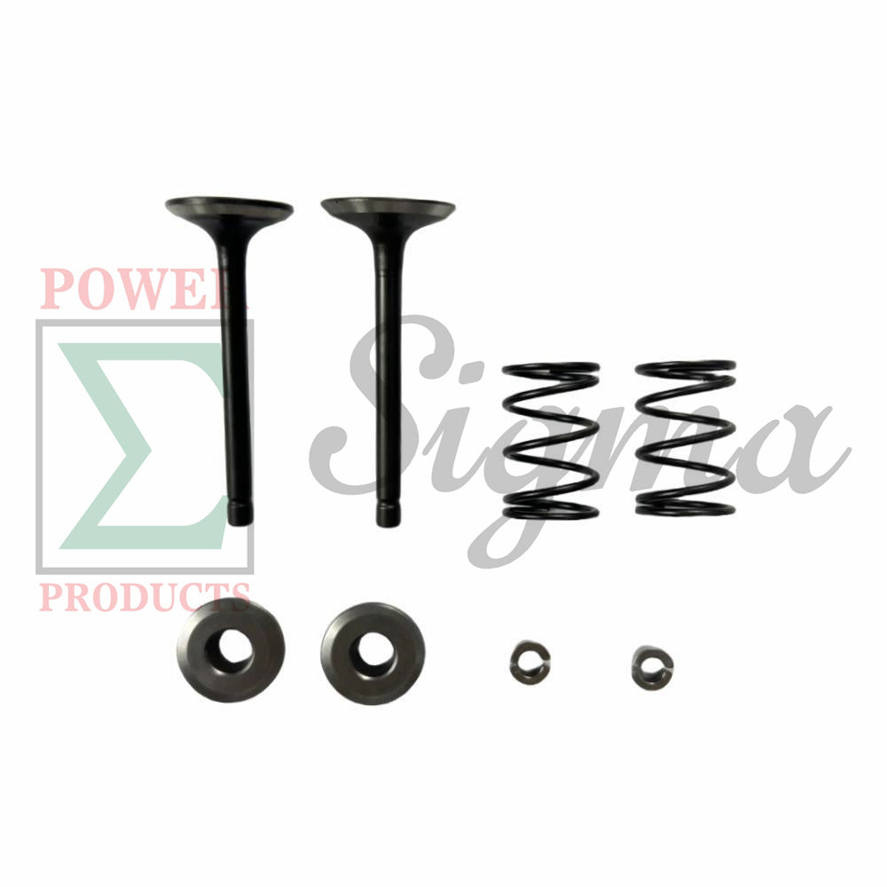 Intake Exhaust Valve and Spring and Retainer Kit for Predator 5000-Watt Dual-Fuel Inverter Generator (Compatible with SKU 71367, 70143) image 0