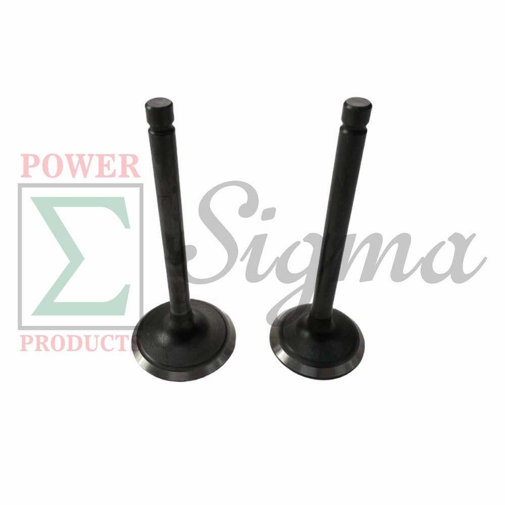 Intake Exhaust Valve and Spring and Retainer Kit for PREDATOR Inverter Generators 9500-Watt Surge / 7600-Watt Running (SKU# 71365, 59188) for DuroMax XP9000iH XP9500iH Inverter Generator image 2
