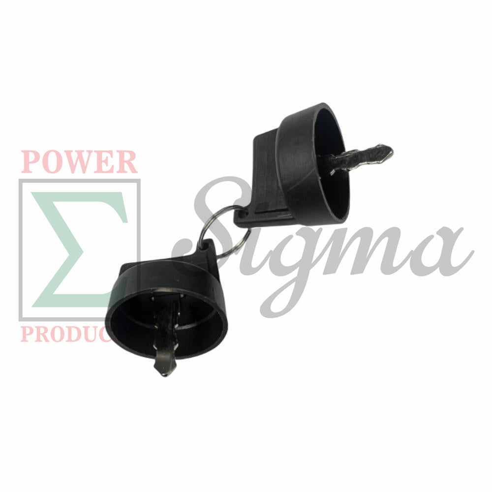 A Set of 2 Keys for Ignition Switch on Panel for Duromax XP15000EH 15000 Watt 713cc V-Twin Engine Dual Fuel Portable Generator image 2