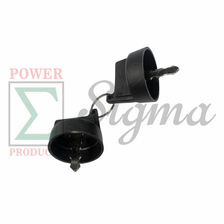 A Set of 2 Keys for Ignition Switch on Panel for Duromax XP15000EH 15000 Watt 713cc V-Twin Engine Dual Fuel Portable Generator image 2