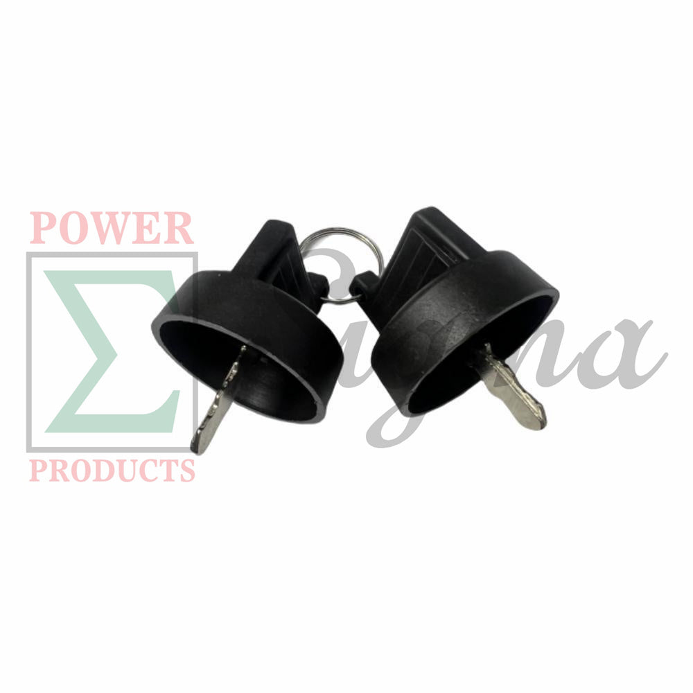 A Set of 2 Keys for Ignition Switch on Panel for Duromax XP15000EH 15000 Watt 713cc V-Twin Engine Dual Fuel Portable Generator image 3