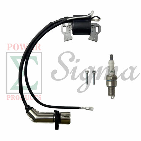 2-Wire Ignition Coil and Spark Plug for PREDATOR 9500-Watt Inverter Generator For DuroMax XP9000iH XP9500iH 459cc Dual Fuel Inverter Generator For GENMAX GM9000iE GM9000iED GM9000iEDC image 0